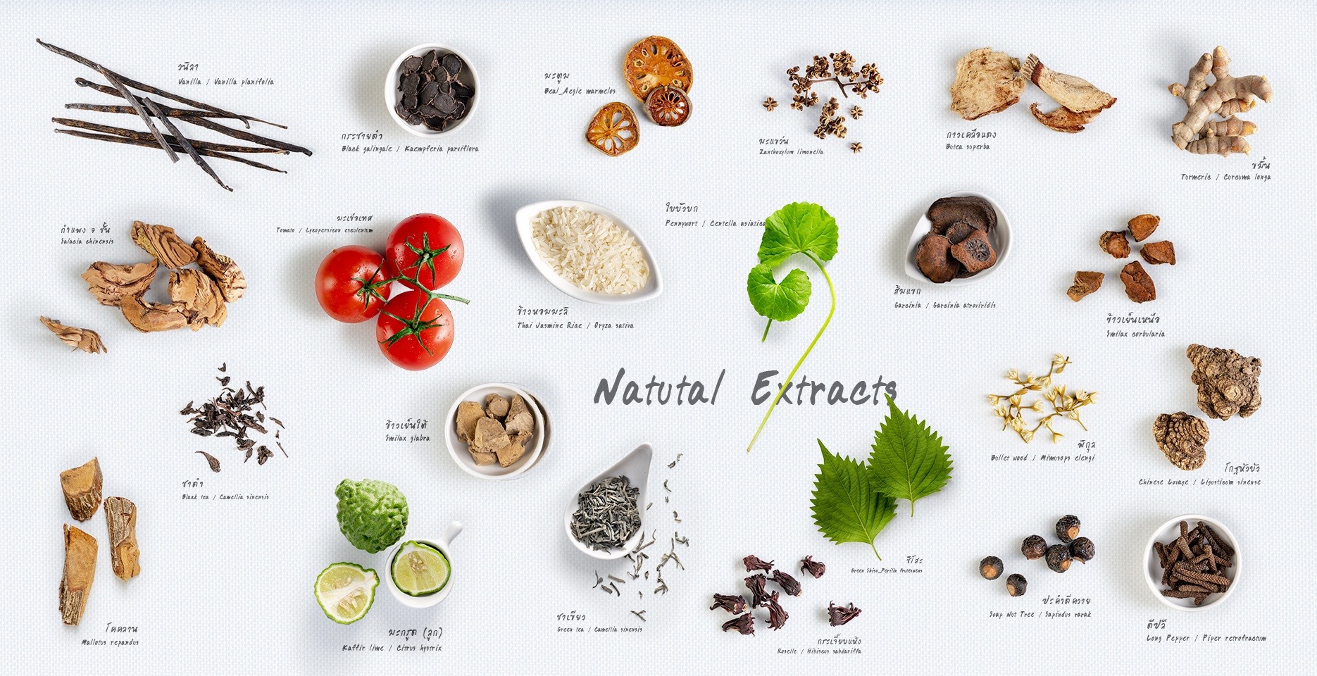 Natural Extracts